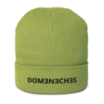 Close-up of a lime-green ribbed knit beanie with a folded brim and a black text print reading DOM3N3CH3S (leet-speak).